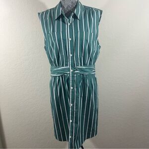 Derek Lam Crosby 10 Green Pinstripe Dress Woman’s Size 12